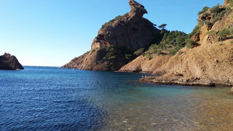 Société de collecte,transport et élimination de déchets dangeruex en PACA