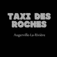 Taxi Ile de France et Loiret Taxi des Roches